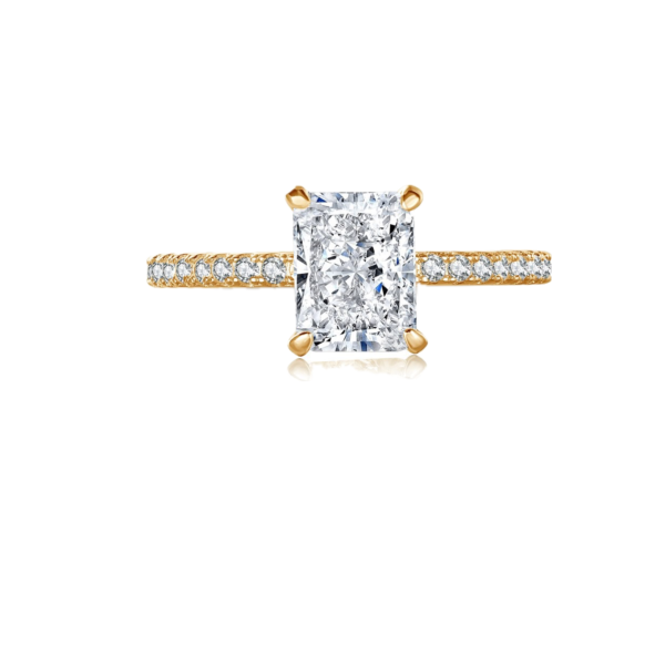 2CT Radiant Cut Diamond Simulants Pave Band Ring in Gold
